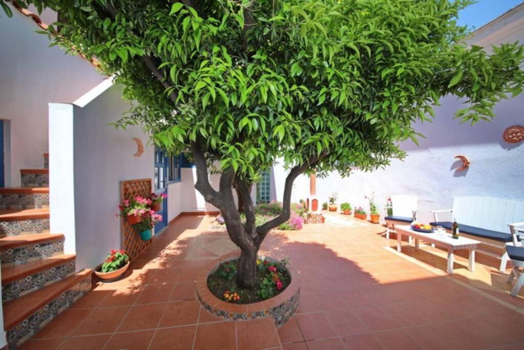 Philoxenia Guest House Skopelos Town Exterior photo