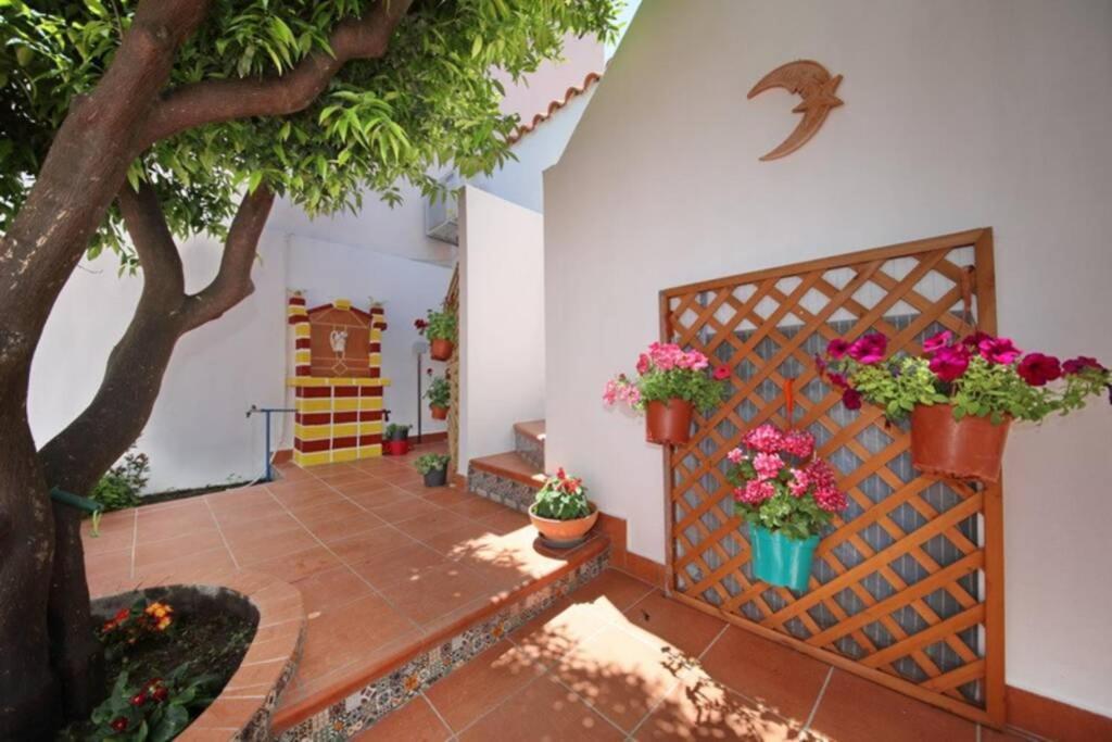 Philoxenia Guest House Skopelos Town Exterior photo